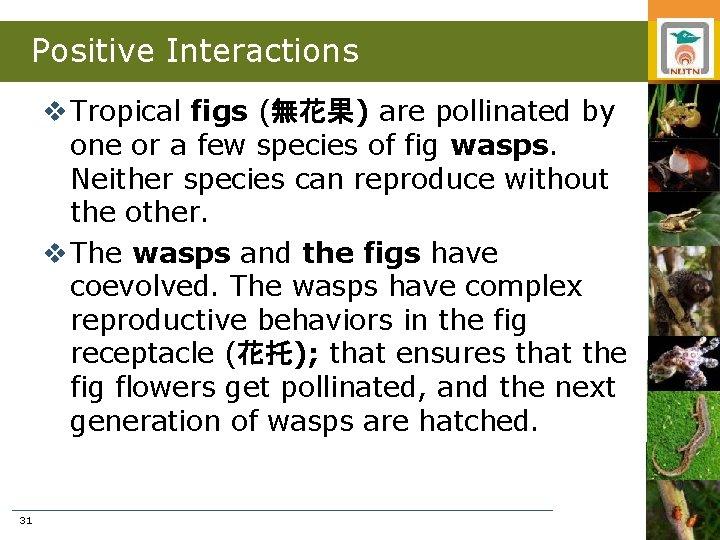 Positive Interactions v Tropical figs (無花果) are pollinated by one or a few species