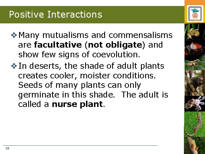 Positive Interactions v Many mutualisms and commensalisms are facultative (not obligate) and show few