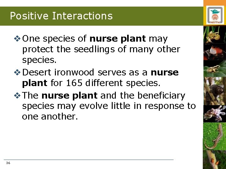 Positive Interactions v One species of nurse plant may protect the seedlings of many