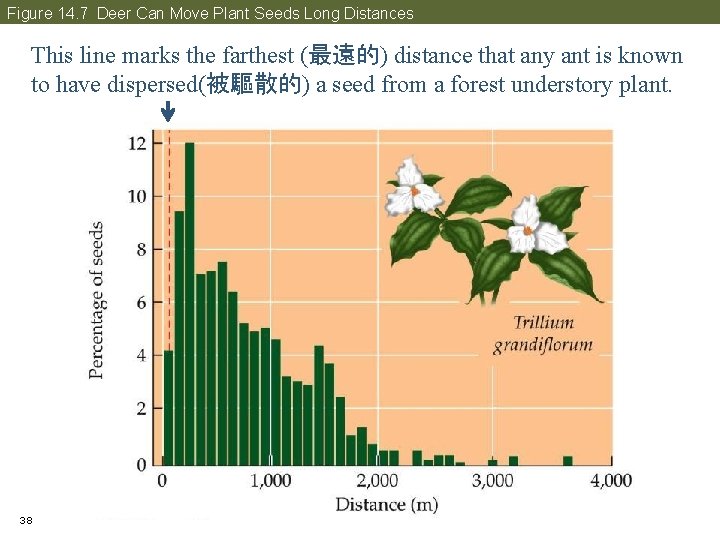 Figure 14. 7 Deer Can Move Plant Seeds Long Distances This line marks the