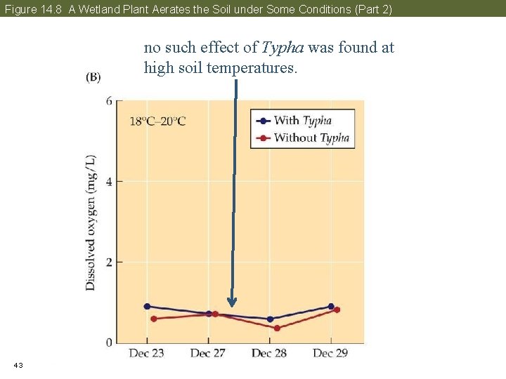 Figure 14. 8 A Wetland Plant Aerates the Soil under Some Conditions (Part 2)