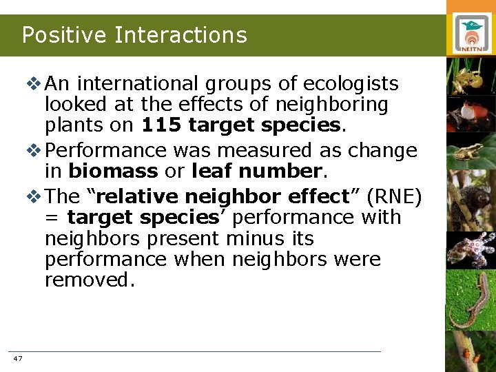 Positive Interactions v An international groups of ecologists looked at the effects of neighboring