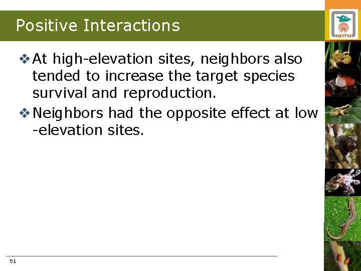 Positive Interactions v At high-elevation sites, neighbors also tended to increase the target species
