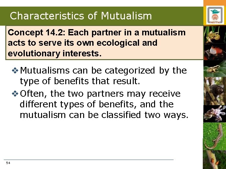 Characteristics of Mutualism Concept 14. 2: Each partner in a mutualism acts to serve