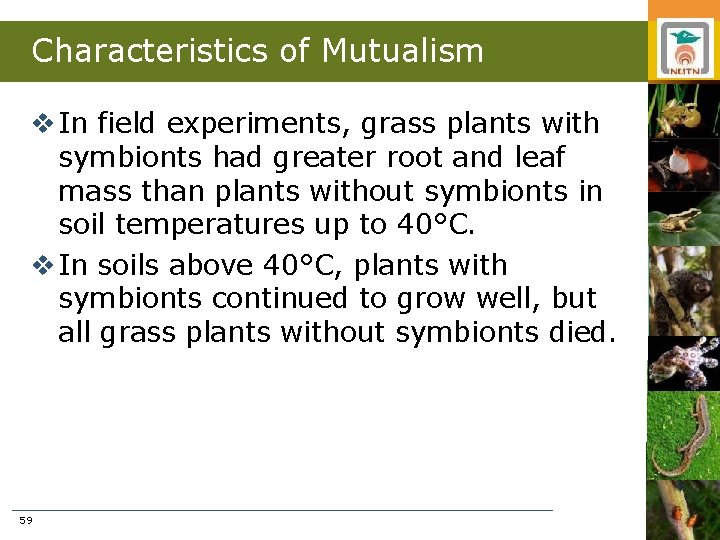 Characteristics of Mutualism v In field experiments, grass plants with symbionts had greater root