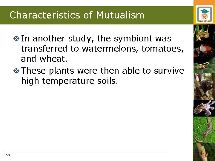 Characteristics of Mutualism v In another study, the symbiont was transferred to watermelons, tomatoes,