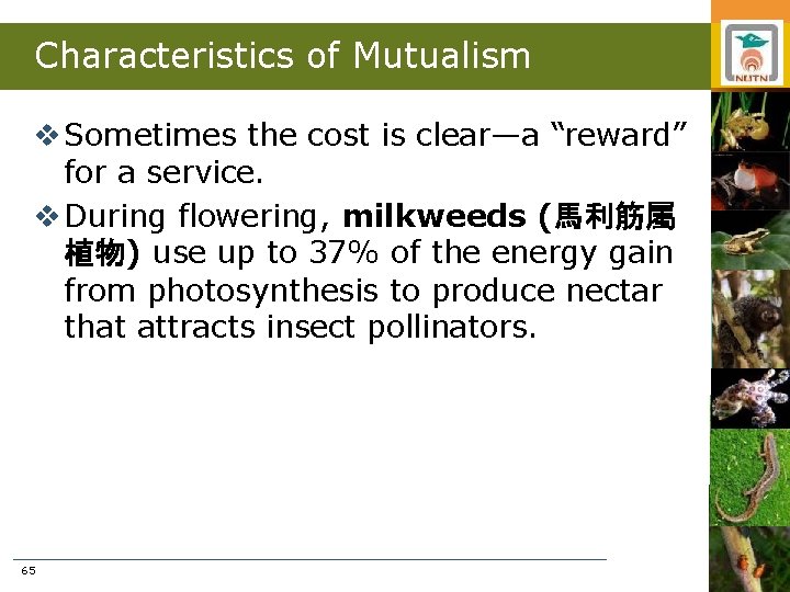 Characteristics of Mutualism v Sometimes the cost is clear—a “reward” for a service. v