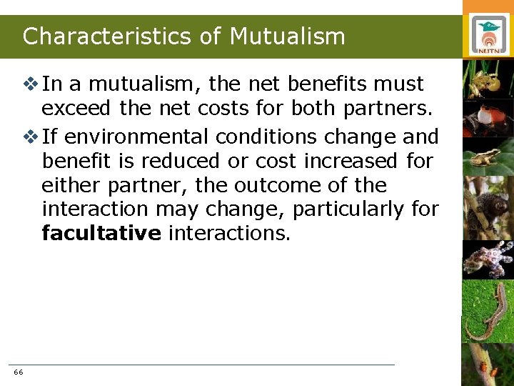 Characteristics of Mutualism v In a mutualism, the net benefits must exceed the net