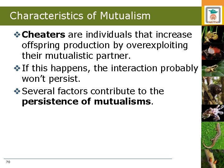 Characteristics of Mutualism v Cheaters are individuals that increase offspring production by overexploiting their