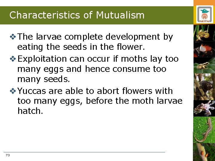 Characteristics of Mutualism v The larvae complete development by eating the seeds in the