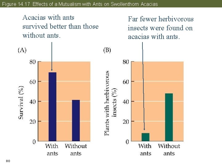 Figure 14. 17 Effects of a Mutualism with Ants on Swollenthorn Acacias with ants