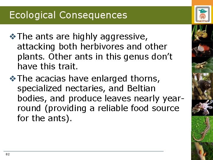 Ecological Consequences v The ants are highly aggressive, attacking both herbivores and other plants.