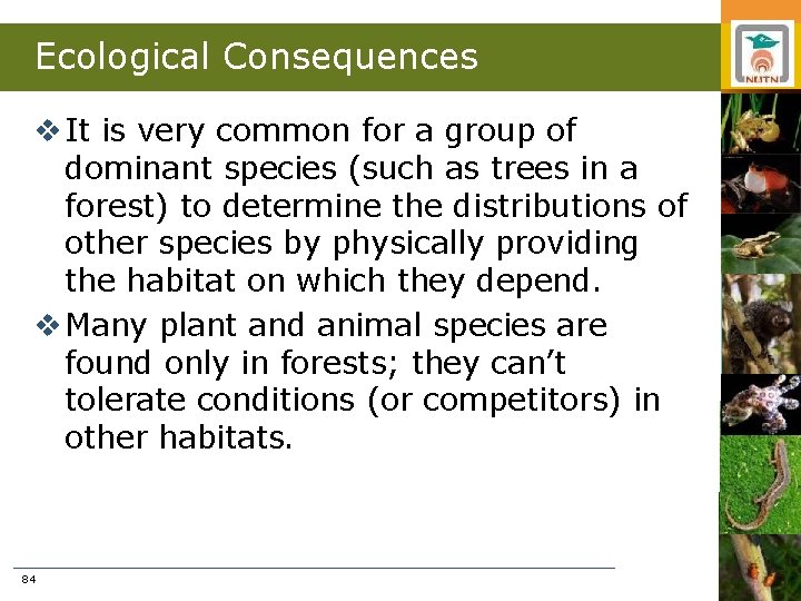 Ecological Consequences v It is very common for a group of dominant species (such