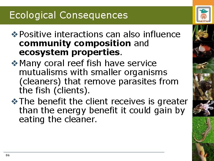 Ecological Consequences v Positive interactions can also influence community composition and ecosystem properties. v