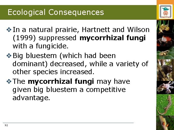 Ecological Consequences v In a natural prairie, Hartnett and Wilson (1999) suppressed mycorrhizal fungi