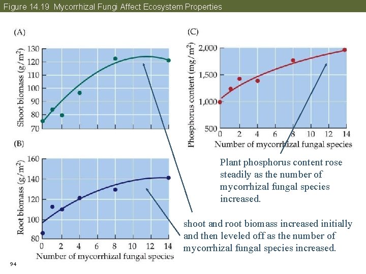 Figure 14. 19 Mycorrhizal Fungi Affect Ecosystem Properties Plant phosphorus content rose steadily as