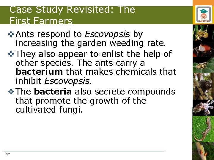 Case Study Revisited: The First Farmers v Ants respond to Escovopsis by increasing the