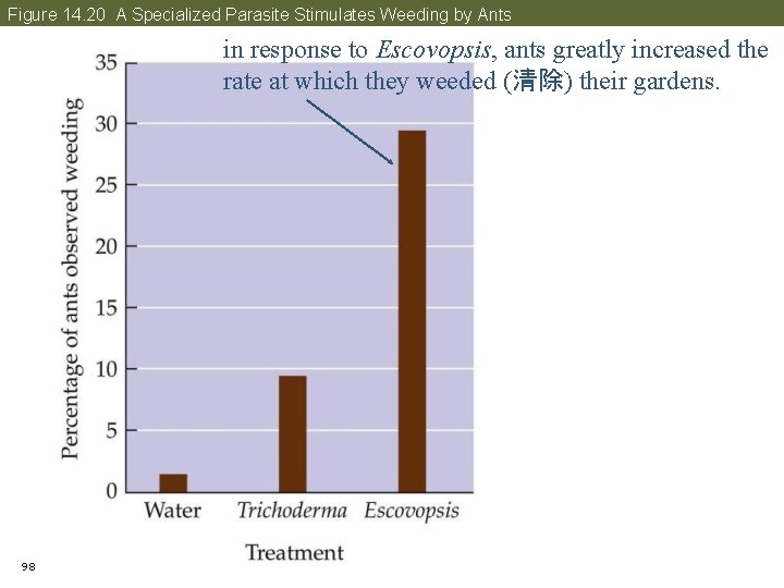 Figure 14. 20 A Specialized Parasite Stimulates Weeding by Ants in response to Escovopsis,