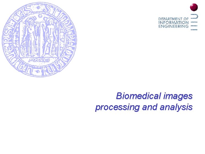 Biomedical images processing and analysis 