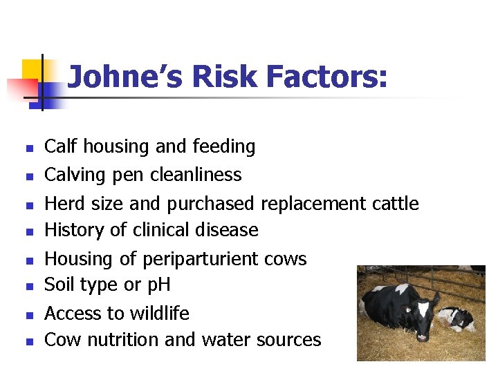 Johne’s Risk Factors: n n n n Calf housing and feeding Calving pen cleanliness