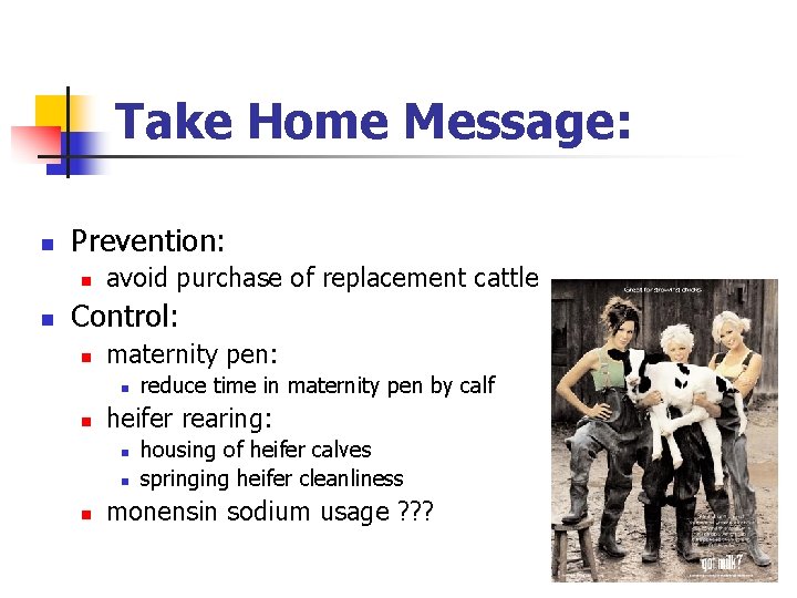 Take Home Message: n Prevention: n n avoid purchase of replacement cattle Control: n