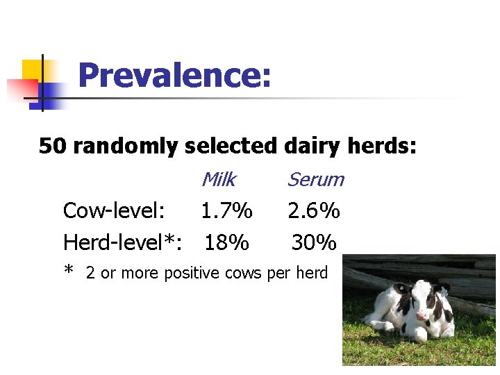 Prevalence: 50 randomly selected dairy herds: Milk Cow-level: 1. 7% Herd-level*: 18% Serum 2.