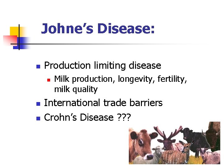 Johne’s Disease: n Production limiting disease n n n Milk production, longevity, fertility, milk