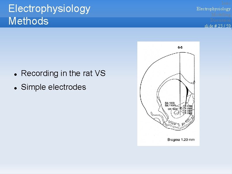Electrophysiology Methods Recording in the rat VS Simple electrodes Intro Electrophysiology Modelling Discussion slide