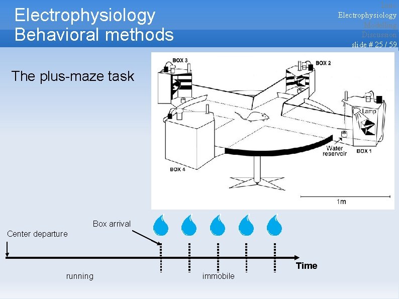 Intro Electrophysiology Modelling Discussion slide # 25 / 59 Electrophysiology Behavioral methods The plus-maze