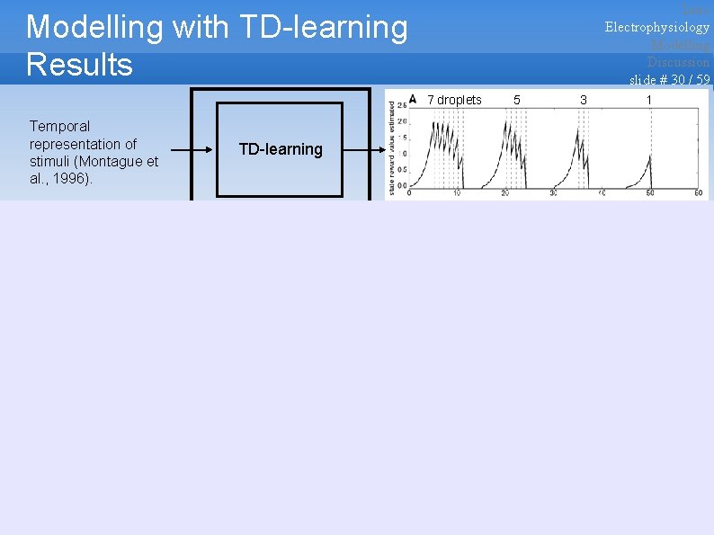 Intro Electrophysiology Modelling Discussion slide # 30 / 59 Modelling with TD-learning Results 7