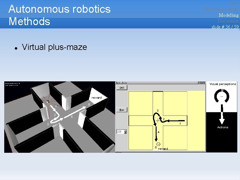 Intro Electrophysiology Modelling Discussion slide # 36 / 59 Autonomous robotics Methods Virtual plus-maze