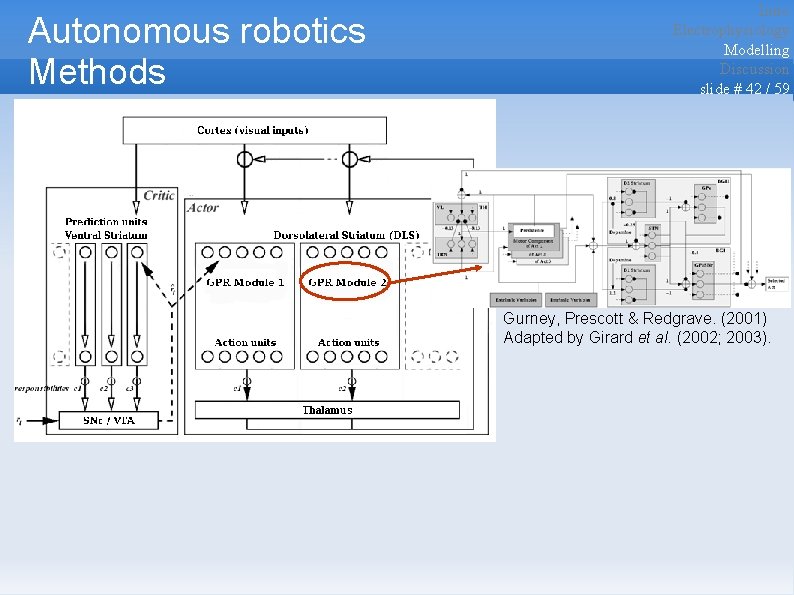 Autonomous robotics Methods Intro Electrophysiology Modelling Discussion slide # 42 / 59 Gurney, Prescott