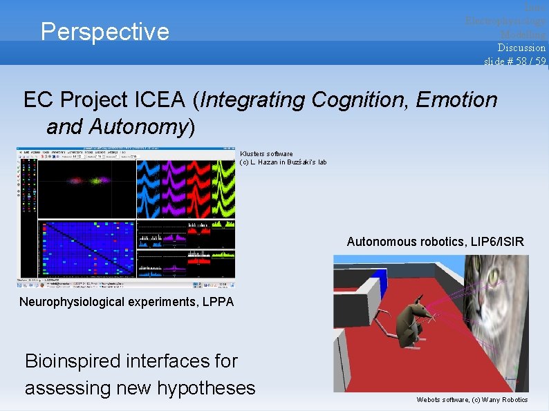 Intro Electrophysiology Modelling Discussion slide # 58 / 59 Perspective EC Project ICEA (Integrating