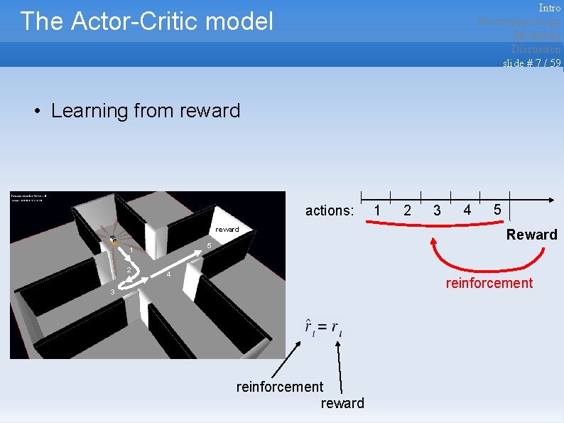 Intro Electrophysiology Modelling Discussion slide # 7 / 59 The Actor-Critic model • Learning