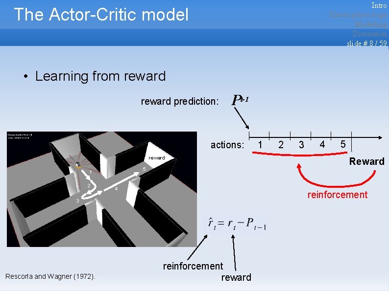 Intro Electrophysiology Modelling Discussion slide # 8 / 59 The Actor-Critic model • Learning