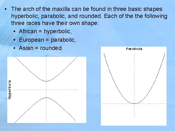  • The arch of the maxilla can be found in three basic shapes: