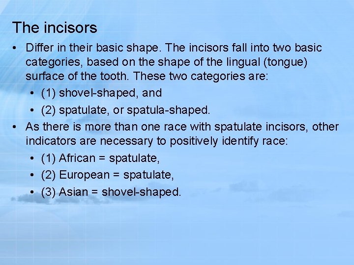 The incisors • Differ in their basic shape. The incisors fall into two basic