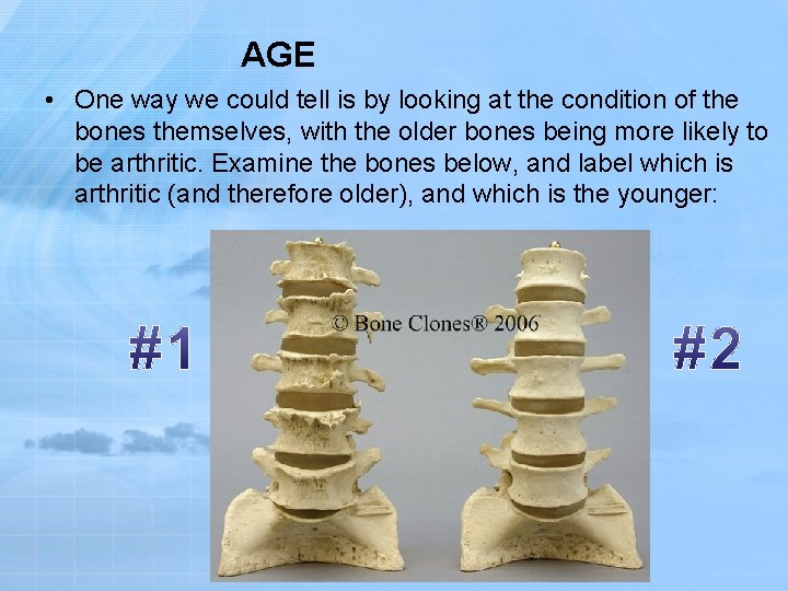 AGE • One way we could tell is by looking at the condition of