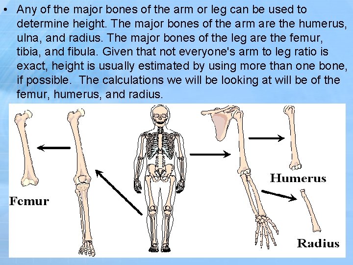  • Any of the major bones of the arm or leg can be