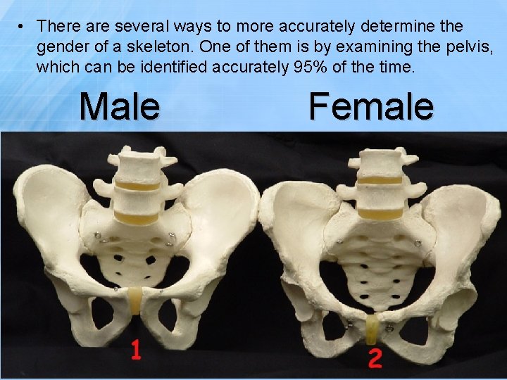  • There are several ways to more accurately determine the gender of a