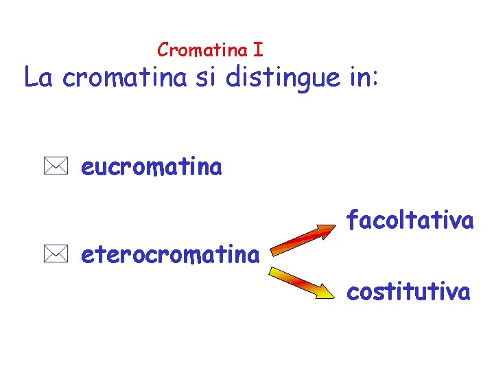 Cromatina I La cromatina si distingue in: * eucromatina facoltativa * eterocromatina costitutiva 