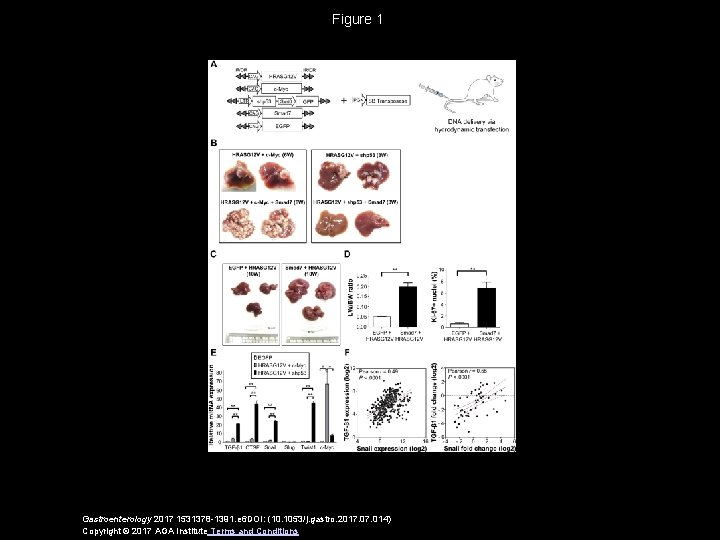 Figure 1 Gastroenterology 2017 1531378 -1391. e 6 DOI: (10. 1053/j. gastro. 2017. 014)