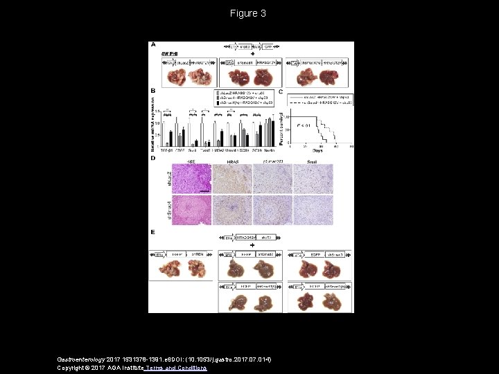 Figure 3 Gastroenterology 2017 1531378 -1391. e 6 DOI: (10. 1053/j. gastro. 2017. 014)