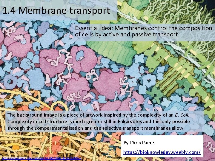 1. 4 Membrane transport Essential idea: Membranes control the composition of cells by active