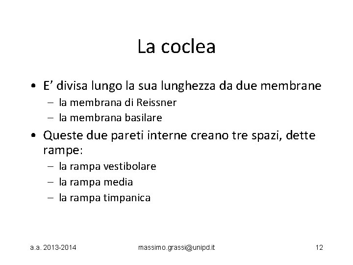 La coclea • E’ divisa lungo la sua lunghezza da due membrane – la