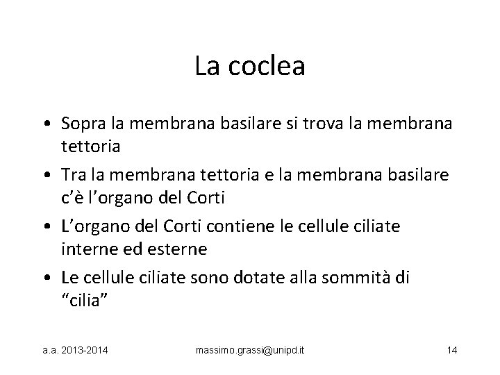 La coclea • Sopra la membrana basilare si trova la membrana tettoria • Tra