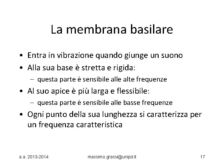 La membrana basilare • Entra in vibrazione quando giunge un suono • Alla sua