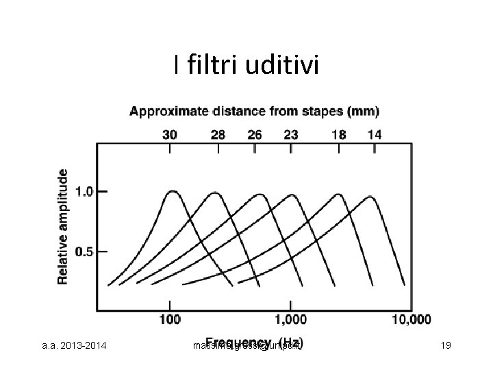 I filtri uditivi a. a. 2013 -2014 massimo. grassi@unipd. it 19 