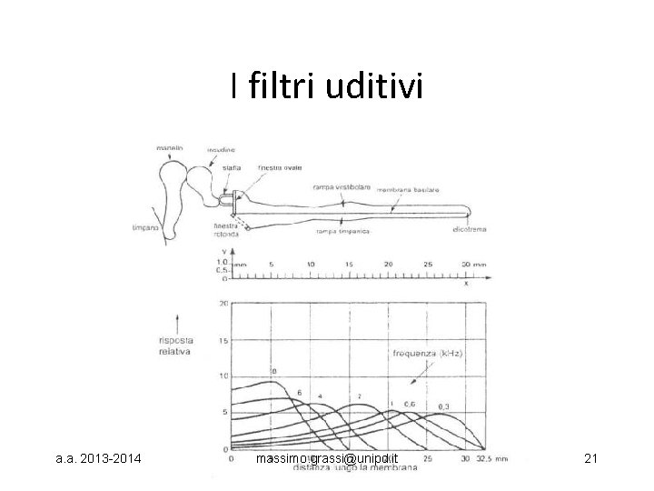 I filtri uditivi a. a. 2013 -2014 massimo. grassi@unipd. it 21 