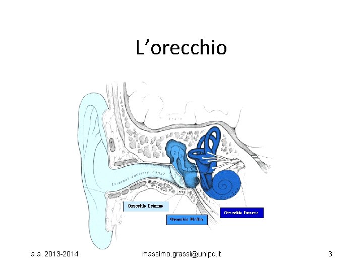 L’orecchio a. a. 2013 -2014 massimo. grassi@unipd. it 3 